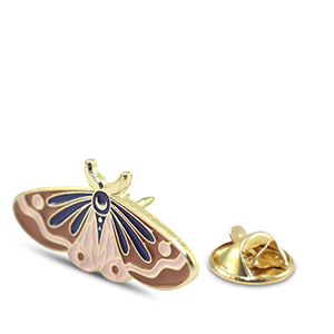 Anstecker Nachtfalter Brown-pink-blue-gold