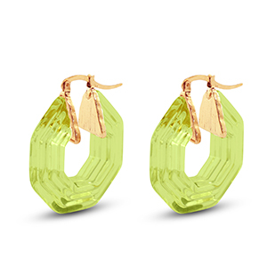 Trendy Resin Ohrringe Hexagon Gold-transparent green