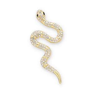 Broschen Schlange Gold-transparent-black