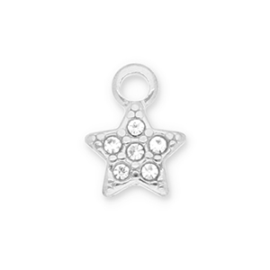 Stainless Steel - Rostfrei Stahl Anh&auml;nger Stern mit Strass Silver-transparent