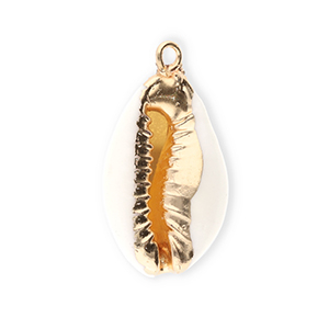 Muschel Anh&auml;nger Specials Kauri Creamy white-gold