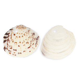 Muschel Anh&auml;nger Specials Herzmuschel Off white-brown