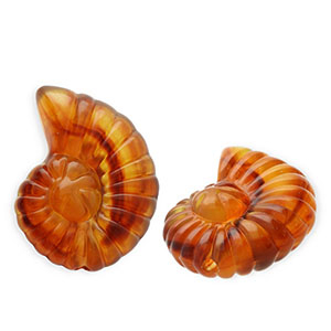 Acrylperlen Muschel Amber brown