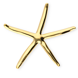 Stainless Steel - Rostfrei Stahl Statement Broschen Seestern Gold
