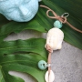 Psst&hellip;dieser exclusiver Schmuck ist aus Limited Edition Perlen und Anh&auml;nger f&uuml;r Sie bereit gestellt.